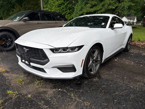 Used 2024 Ford Mustang Premium RWD image 2