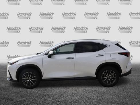Certified 2025 Lexus NX 250 250 Premium image 6