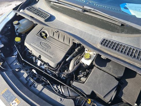 Used 2017 Ford Escape SE w/ SE Cold Weather Package image 4