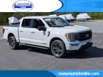 Used 2023 Ford F150 XLT w/ Equipment Group 302A High