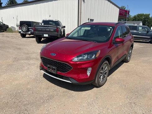 Used 2020 Ford Escape SEL AWD/4WD image 5