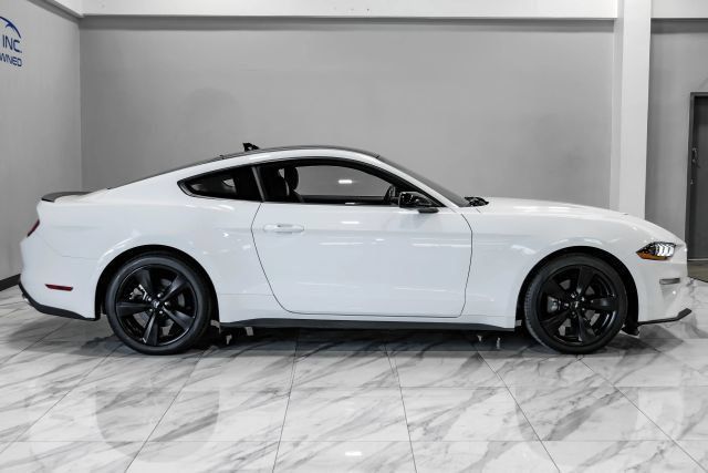 Used 2023 Ford Mustang Premium w/ Mustang Nite Pony Package RWD image 7