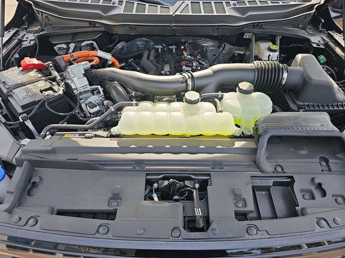 New 2025 Ford F150 XLT w/ Equipment Group 302A MID image 33