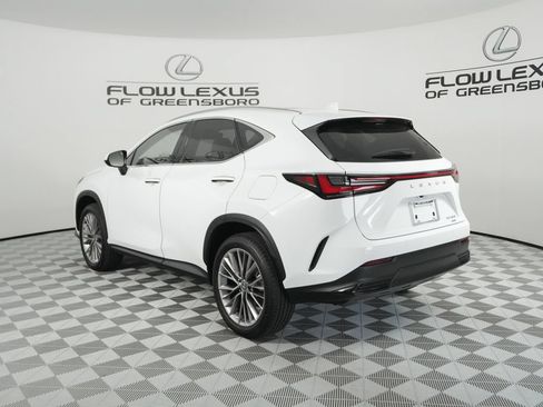 New 2026 Lexus NX 350 AWD w/ Cold Area Package image 5