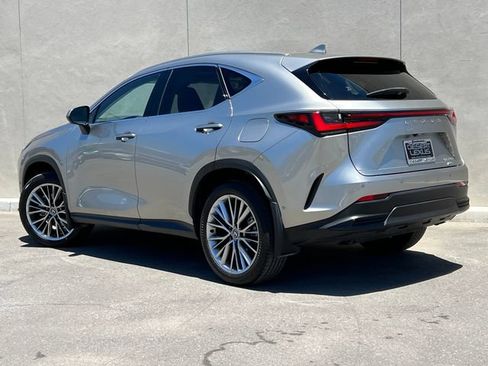 Used 2025 Lexus NX 350h AWD w/ Cold Area Package image 7