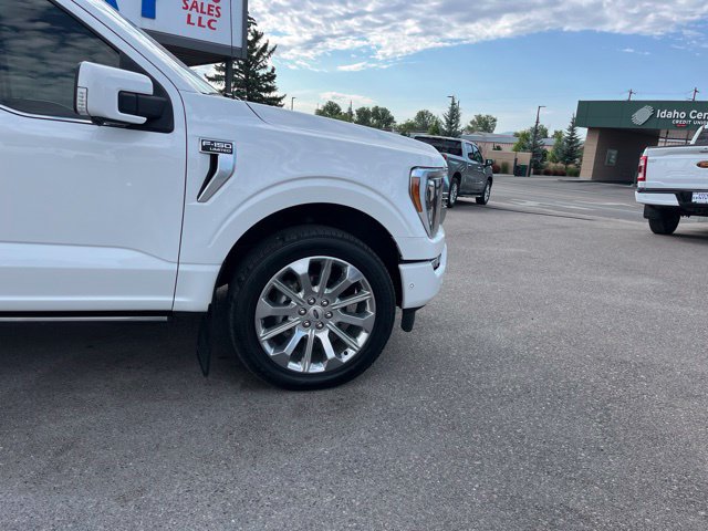 Used 2021 Ford F150 Limited AWD/4WD image 15
