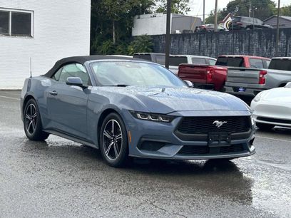 Used 2024 Ford Mustang Premium