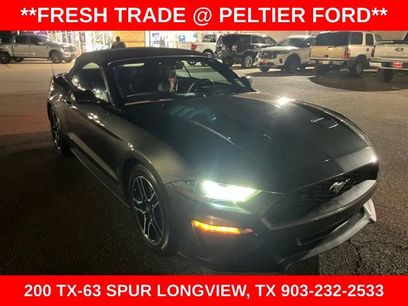Used 2019 Ford Mustang Premium