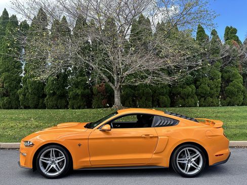 Used 2019 Ford Mustang Coupe w/ Ecoboost Performance Package RWD image 28
