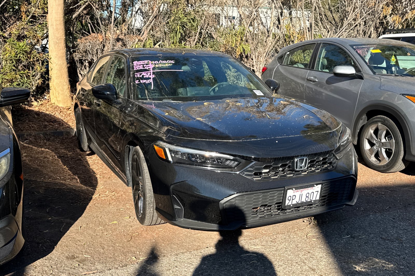 Used 2025 Honda Civic Sport image 2