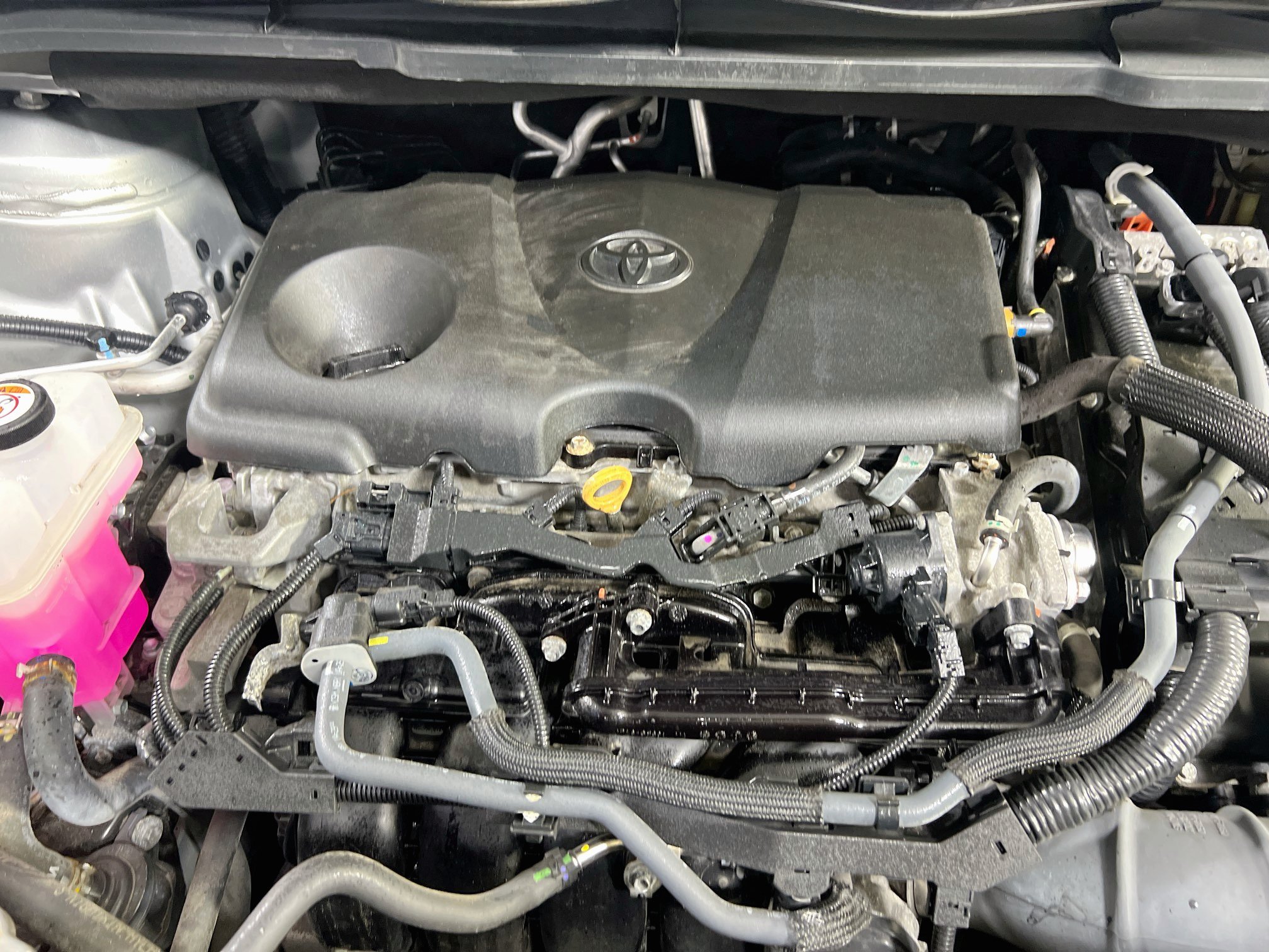 Used 2024 Toyota Sienna XLE FWD image 30