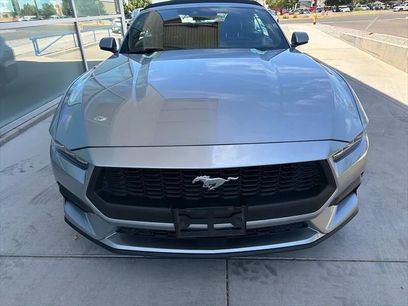 Used 2024 Ford Mustang Premium