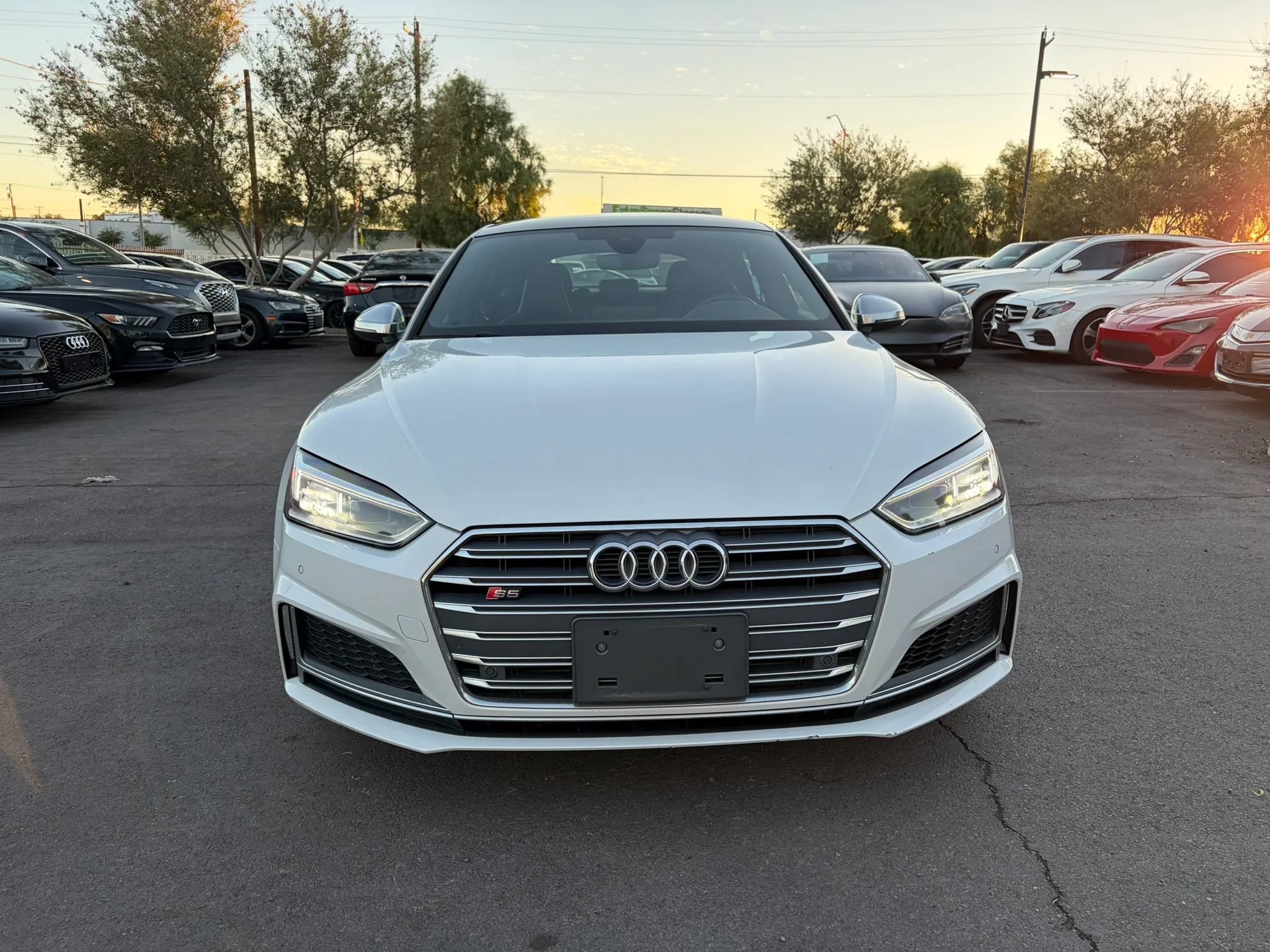 Used 2019 Audi S5 Premium Plus w/ Premium Plus AWD/4WD image 4