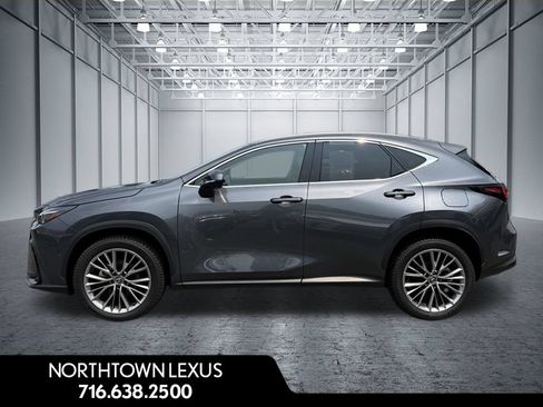 Used 2024 Lexus NX 350h AWD w/ Vision Package image 3