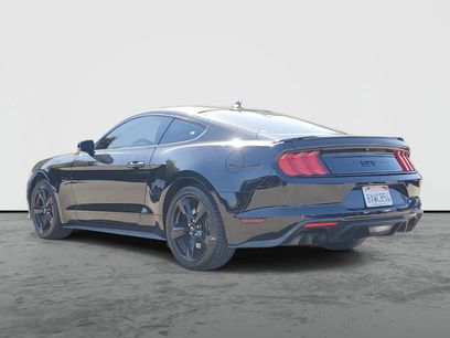 Used 2021 Ford Mustang GT Premium w/ Equipment Group 401A