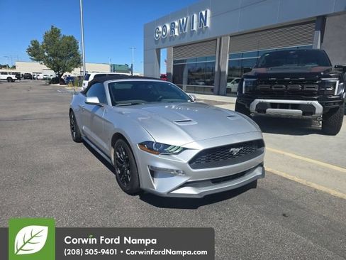 Used 2019 Ford Mustang Premium RWD image 1