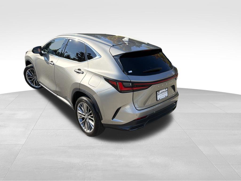 Used 2026 Lexus NX 350 AWD w/ Cold Area Package image 4