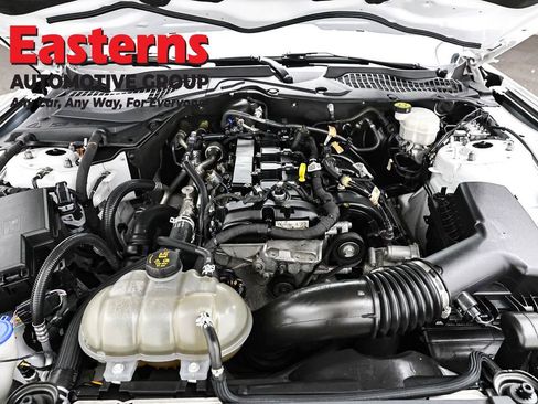 Used 2022 Ford Mustang Coupe w/ Equipment Group 101A image 7