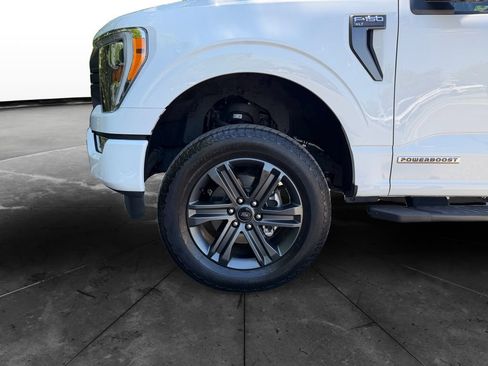 Used 2023 Ford F150 XLT w/ Equipment Group 302A High AWD/4WD image 14