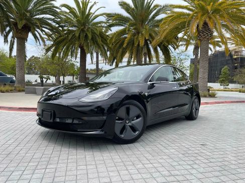 Used 2019 Tesla Model 3 Standard Range Plus image 3