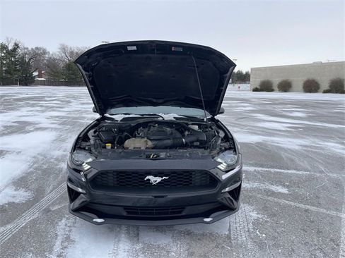 Used 2018 Ford Mustang Premium w/ Equipment Group 201A image 16