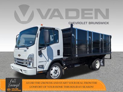 New 2024 Chevrolet Low Cab Forward