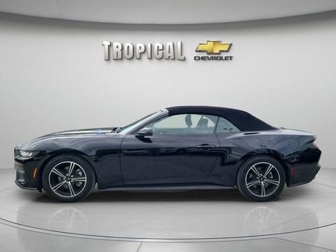 Used 2025 Ford Mustang Convertible RWD image 2