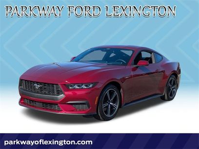 Used 2025 Ford Mustang Coupe