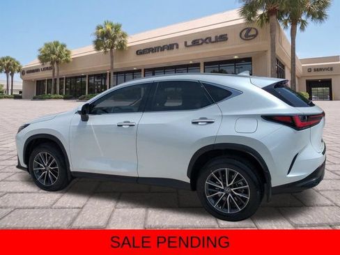 Certified 2024 Lexus NX 350 AWD image 6