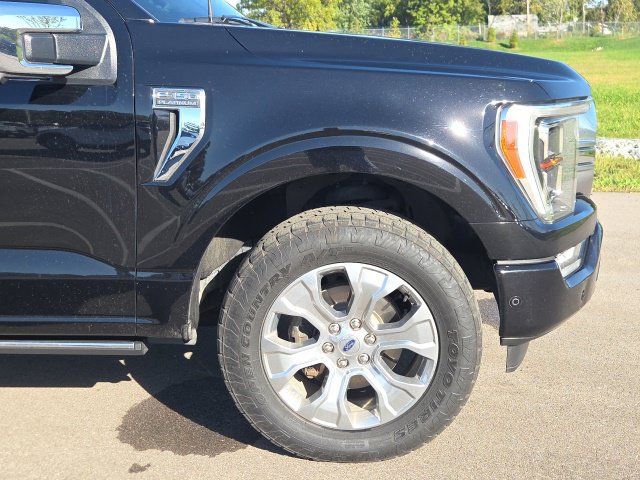 Used 2021 Ford F150 Platinum w/ Equipment Group 701A High AWD/4WD image 6
