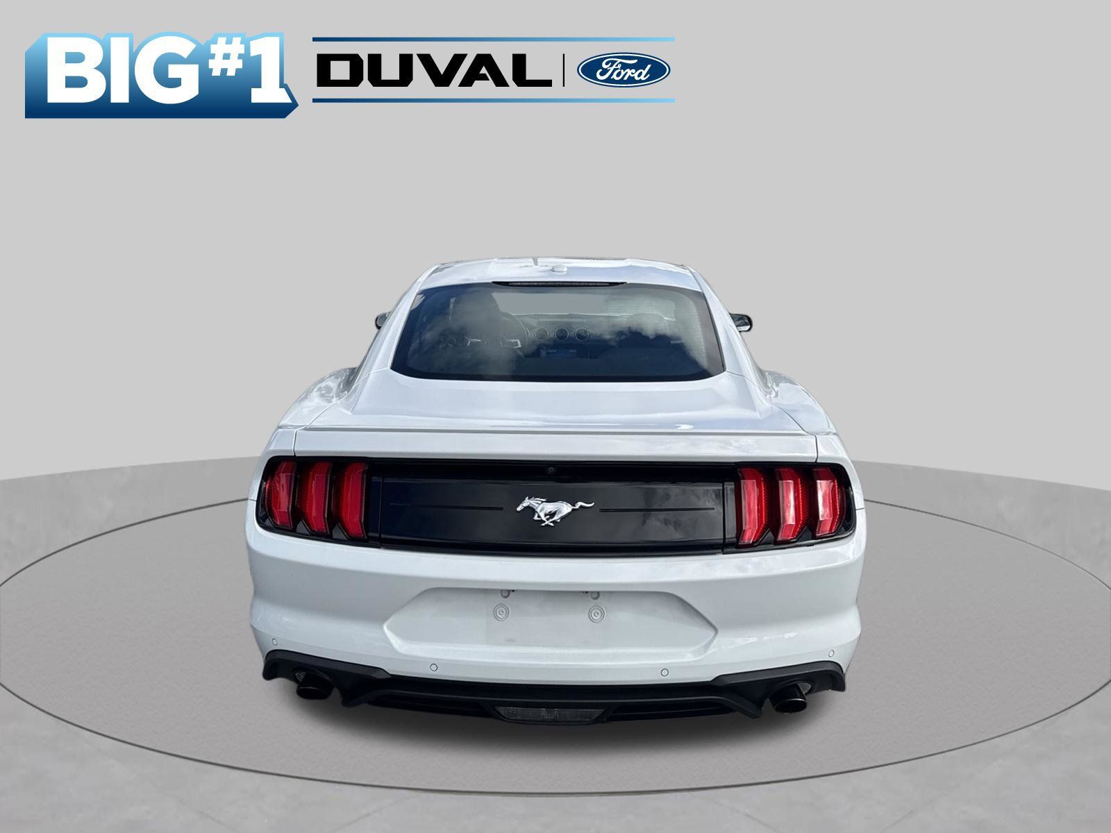 Used 2019 Ford Mustang Premium w/ Equipment Group 201A RWD image 4