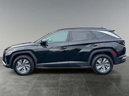 Used 2023 Hyundai Tucson Blue AWD/4WD image 6