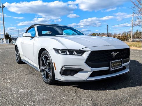 Used 2024 Ford Mustang Premium image 3