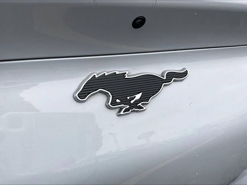 Used 2021 Ford Mustang Mach-E California Route 1 RWD image 31