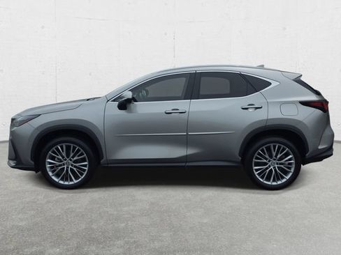 Certified 2024 Lexus NX 350h AWD w/ Vision Package image 8