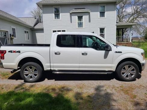 Used 2019 Ford F150 XLT w/ Equipment Group 302A Luxury AWD/4WD image 3