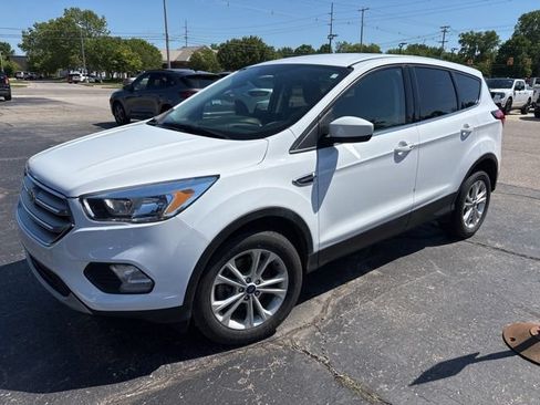Used 2019 Ford Escape SE AWD/4WD image 5