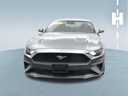 Used 2023 Ford Mustang Premium RWD image 2