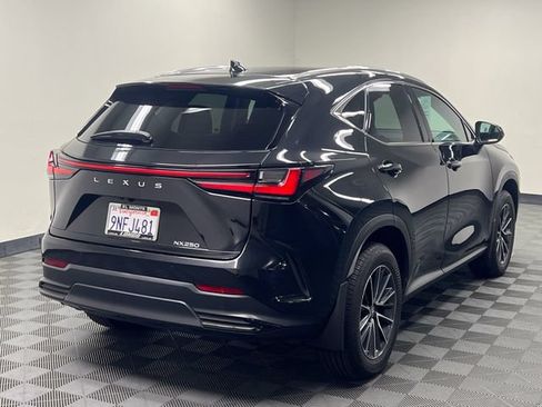 Certified 2025 Lexus NX 250 FWD image 5