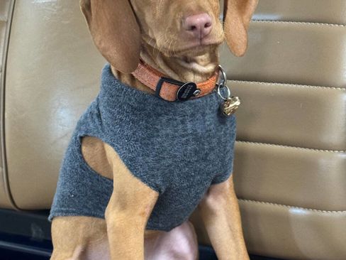 Used 2025 Kia Soul LX image 39