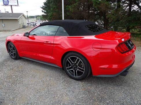 Used 2020 Ford Mustang Premium RWD image 3
