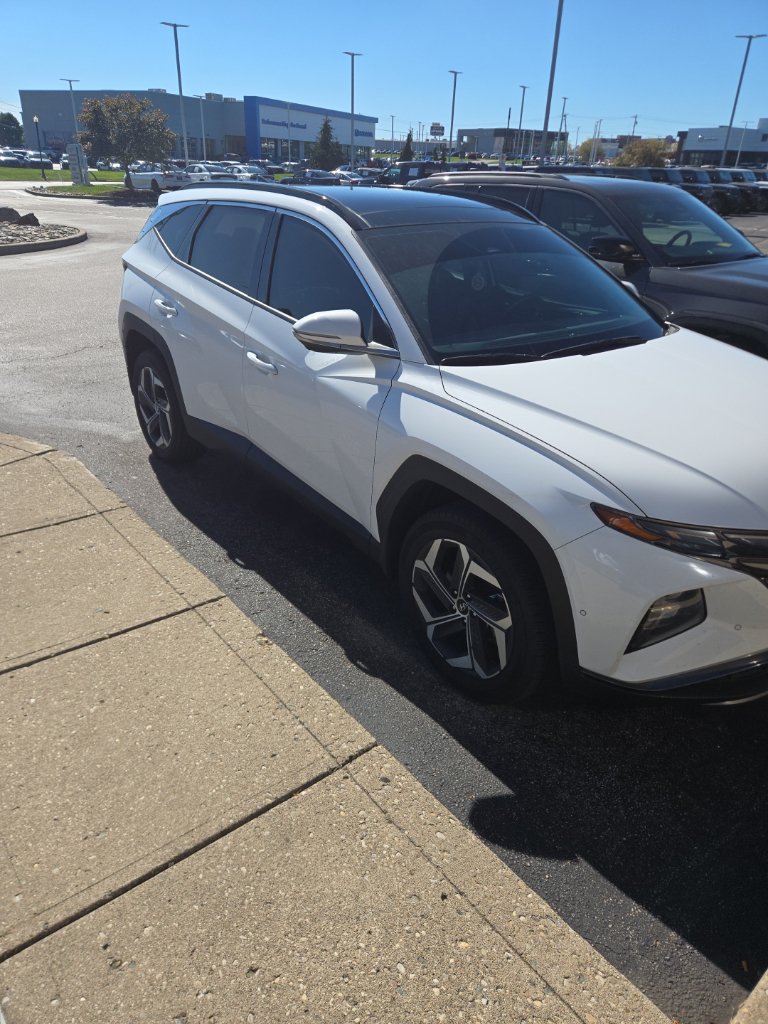 Used 2024 Hyundai Tucson Limited AWD/4WD image 6