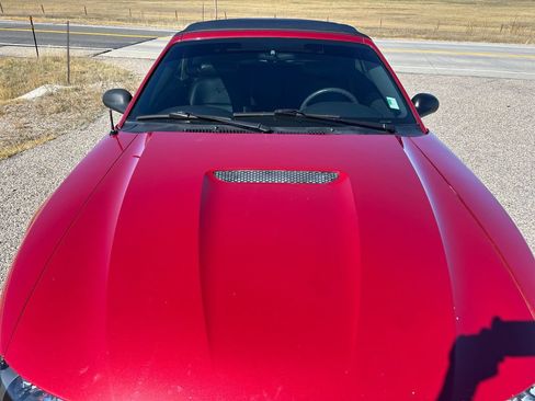 Used 2001 Ford Mustang Convertible RWD image 11