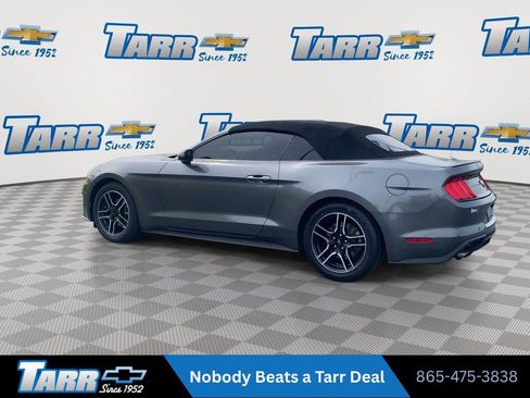 Used 2022 Ford Mustang Premium RWD image 6