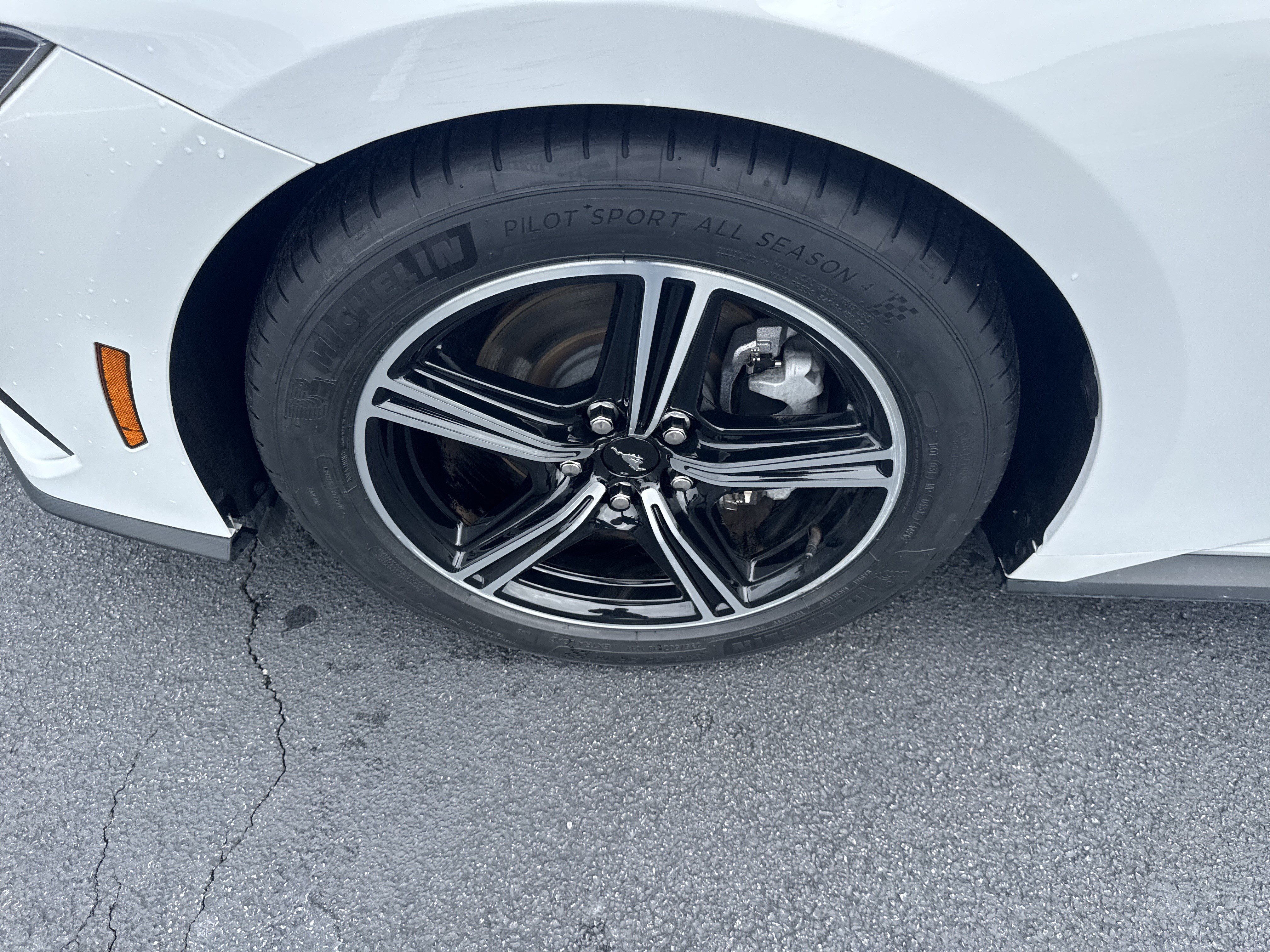 Used 2025 Ford Mustang Premium RWD image 16