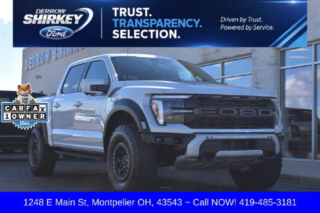 Used 2025 Ford F150 Raptor AWD/4WD image 1