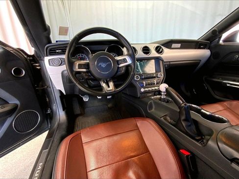 Used 2016 Ford Mustang GT Premium w/ Equipment Group 401A image 14