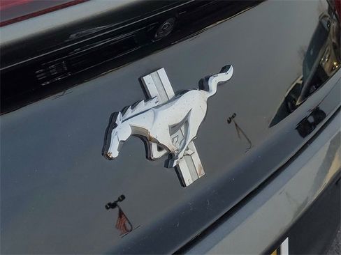 Used 2015 Ford Mustang V6 w/ Equipment Group 051A image 6