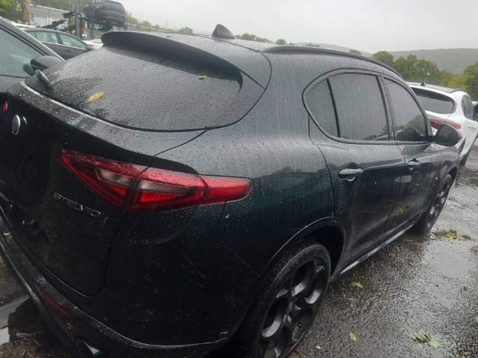 Used 2023 Alfa Romeo Stelvio Estrema AWD/4WD image 4