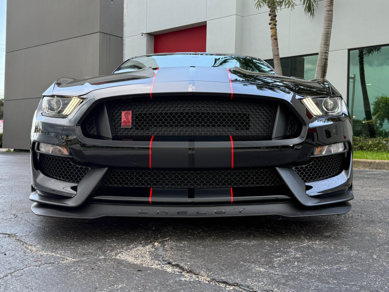 Used 2017 Ford Mustang Shelby GT350R w/ GT350R Equipment Group 920A RWD image 10